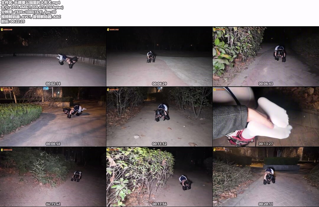 长颜草公园里的人形犬-资源网