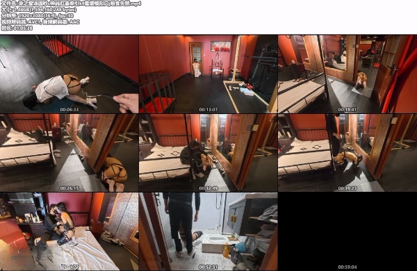 意之窗汤圆秒c神器肛塞牵引k9套装模拟口j喂食失禁-资源网