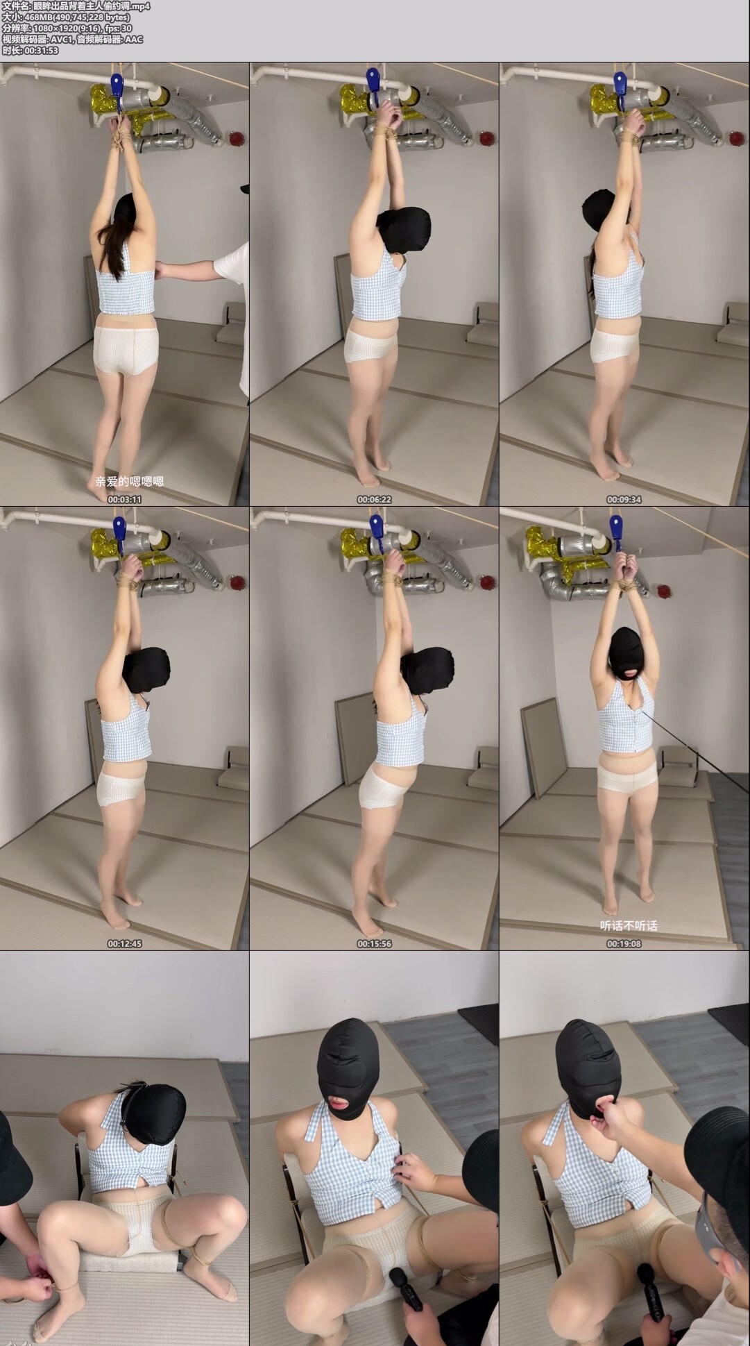 眼眸出品背着主人偷约调-资源网